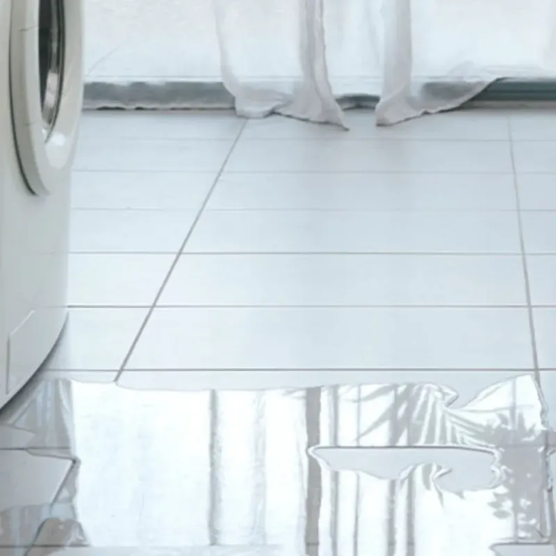 Appliance Leak Cleanup in Walworth County, SD