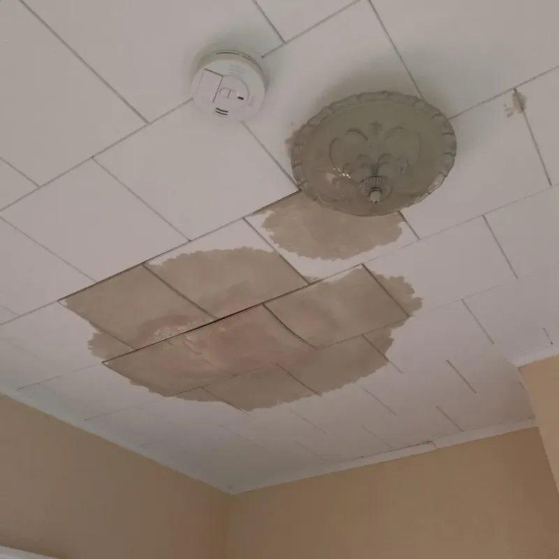 Ceiling Water Damage Repair in Walworth County, SD