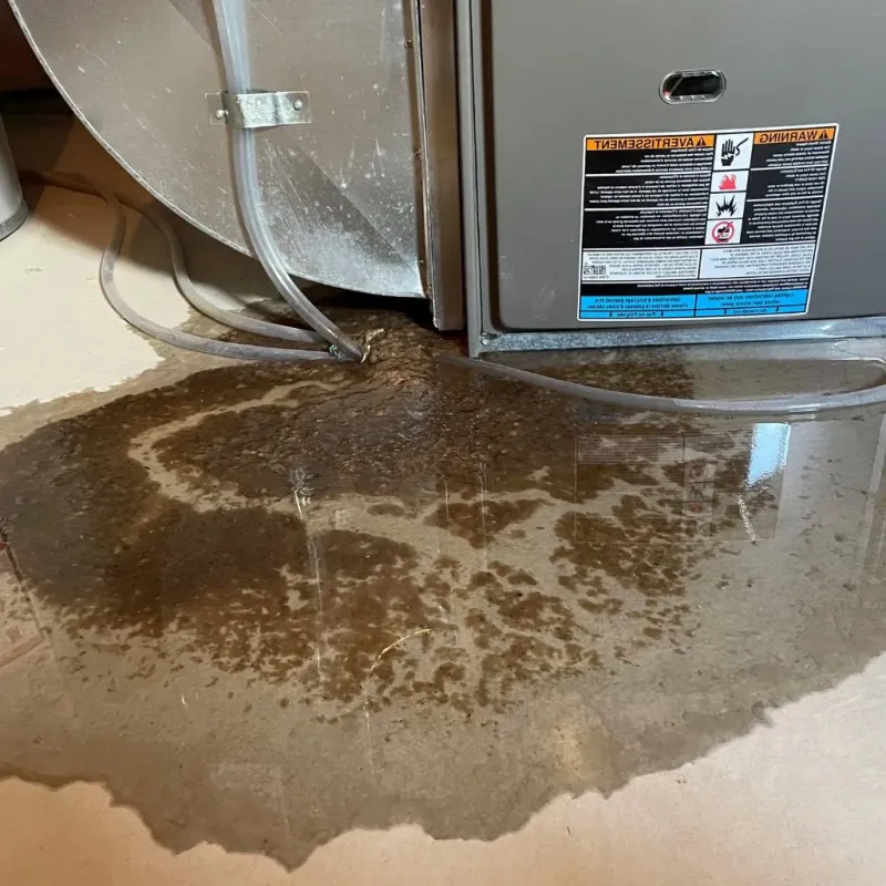 Pipe Burst and Leak Restoration in Walworth County, SD